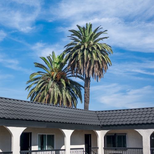The image shows a building with arches and palm trees in the background under a blue sky with clouds.