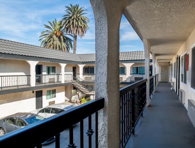 A view of a hotel's exterior balcony with a parking lot and palm tree in the background.